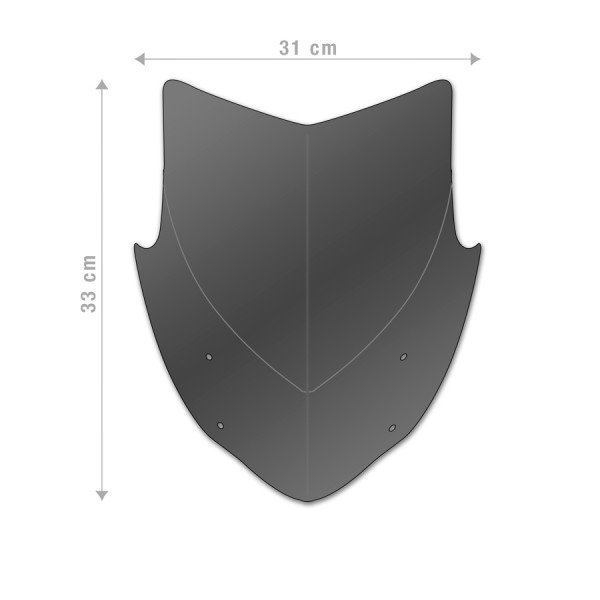 Windschild für Yamaha MT-09 (21-) - Barracuda