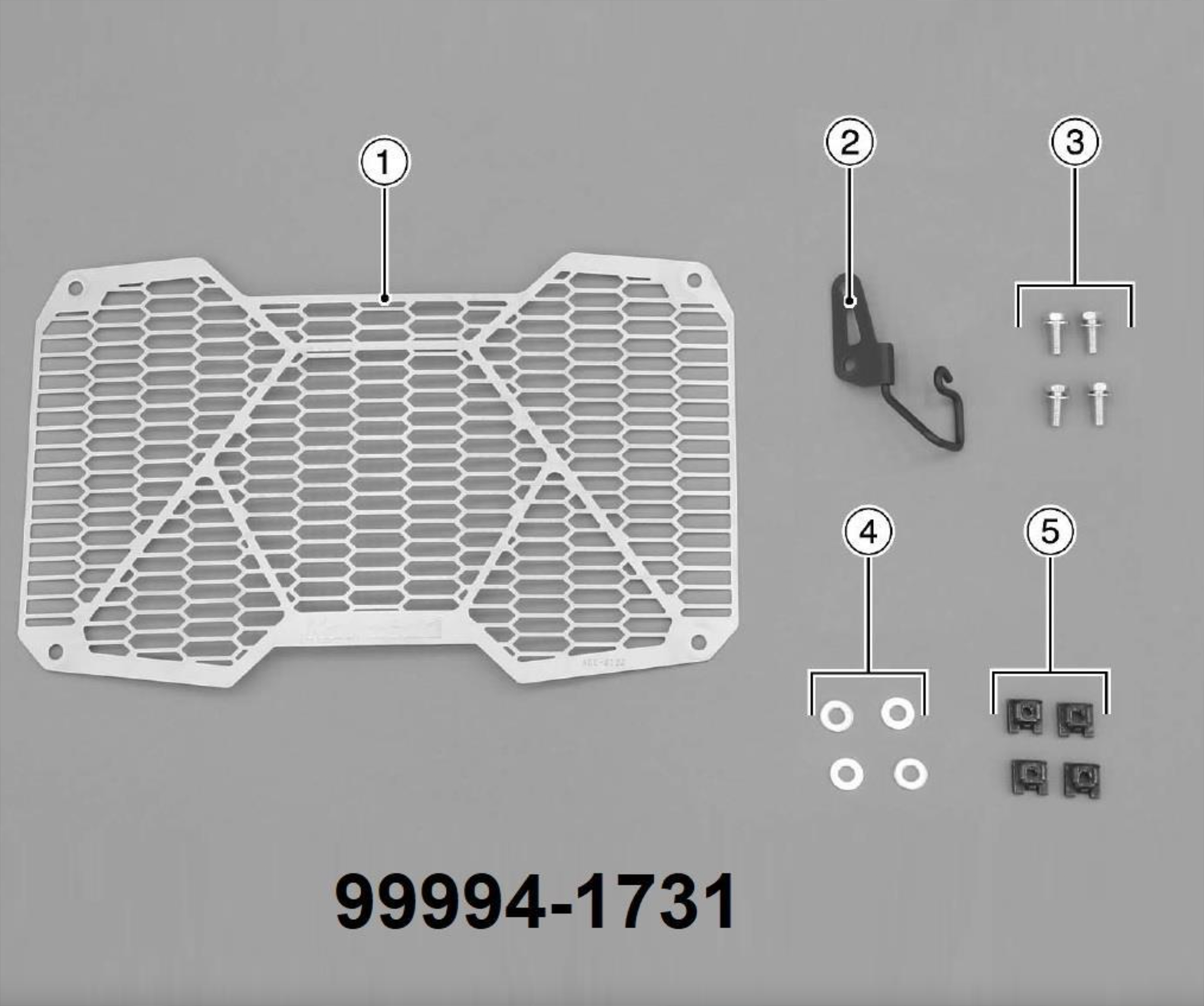 Kühlerverkleidung für Kawasaki für Z 650 RS (22-) Original