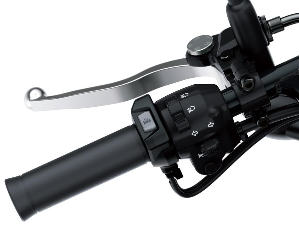 Heizgriffe für Kawasaki W800 Street (19-) Original