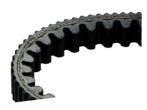 Dayco Keilriemen, Kevlar Belt, 22x13x826 mm, verstärkt