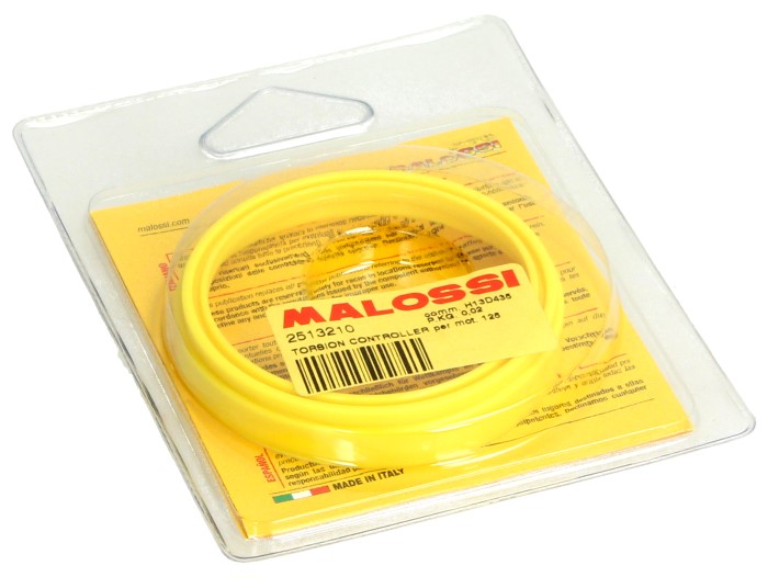 Malossi Torsion Controller