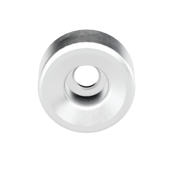 LSL PACE-X Farbinlay für LSL PACE Lenkergewichte, silber