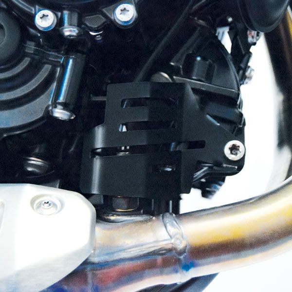 Abdeckung Lambdasonde für BMW F 850 GS (18-22), Edelstahl, schwarz