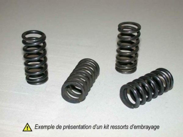 Barnett Kupplungsfeder-Kit für Suzuki