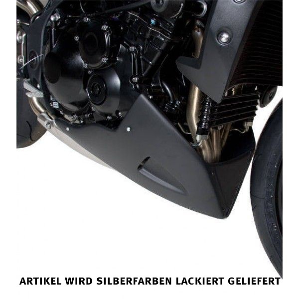 Barracuda Bugspoiler AEROSPORT für Triumph Speed Triple 2011 - 2015 silber lackiert