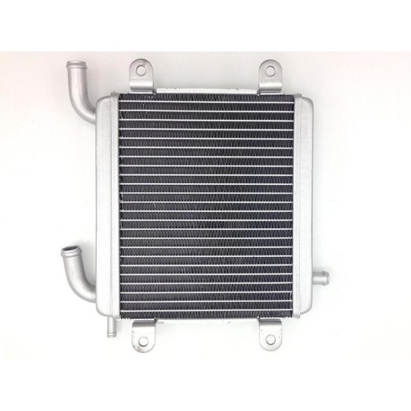 BIHR Wasserkühler - Yamaha Aerox 50 / MBK Nitro 50