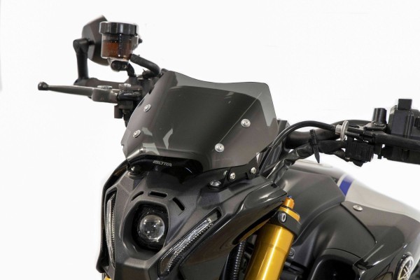 Kleines Windschild für Yamaha MT-09 (21-23)