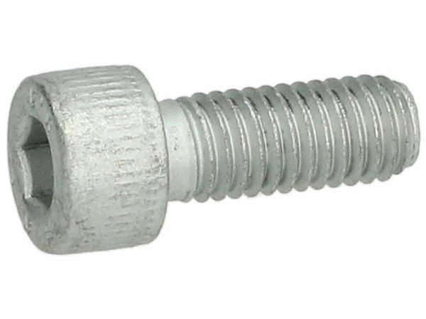 Schraube M8 x 20mm (Art. Nr. 599009)