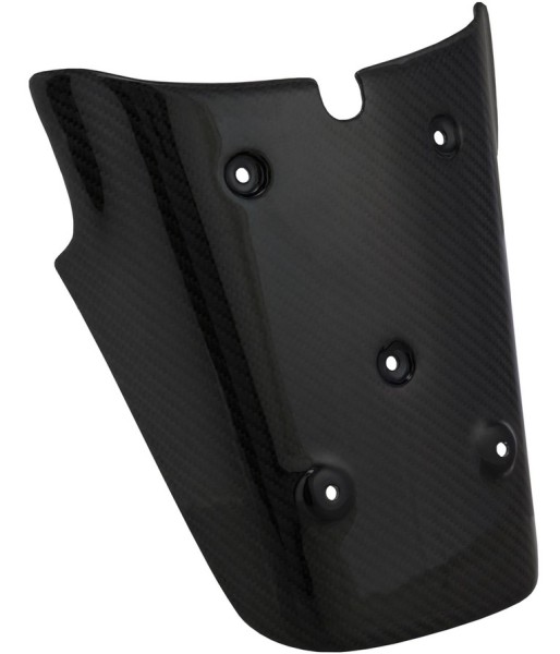 Nummernschildhalter hinten für Vespa GTS/​GTS Super/​GTV 125-300ccm (-'13), Carbon