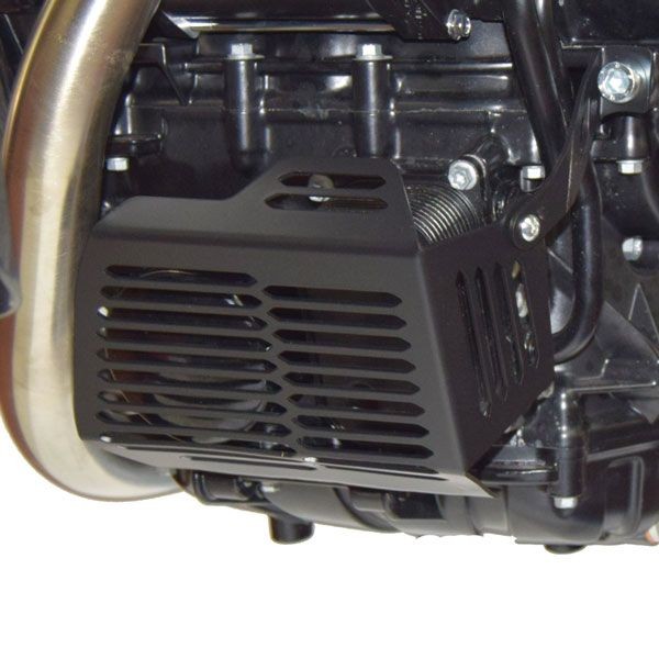 Ölfilterschutz für BMW F 700 GS (12-18), schwarz